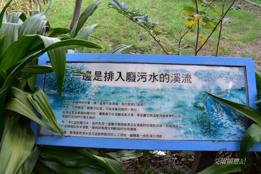 關渡自然公園185.JPG