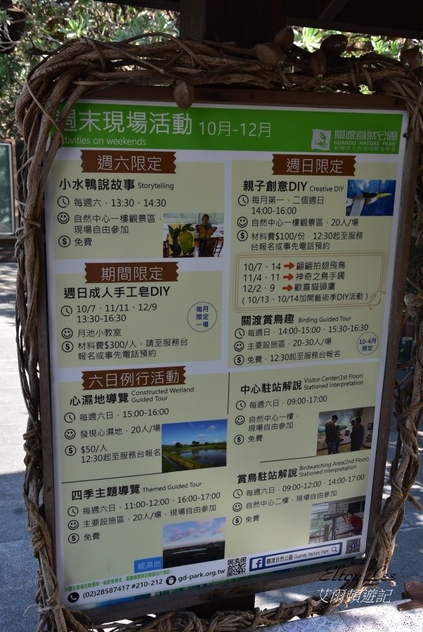 關渡自然公園105.JPG