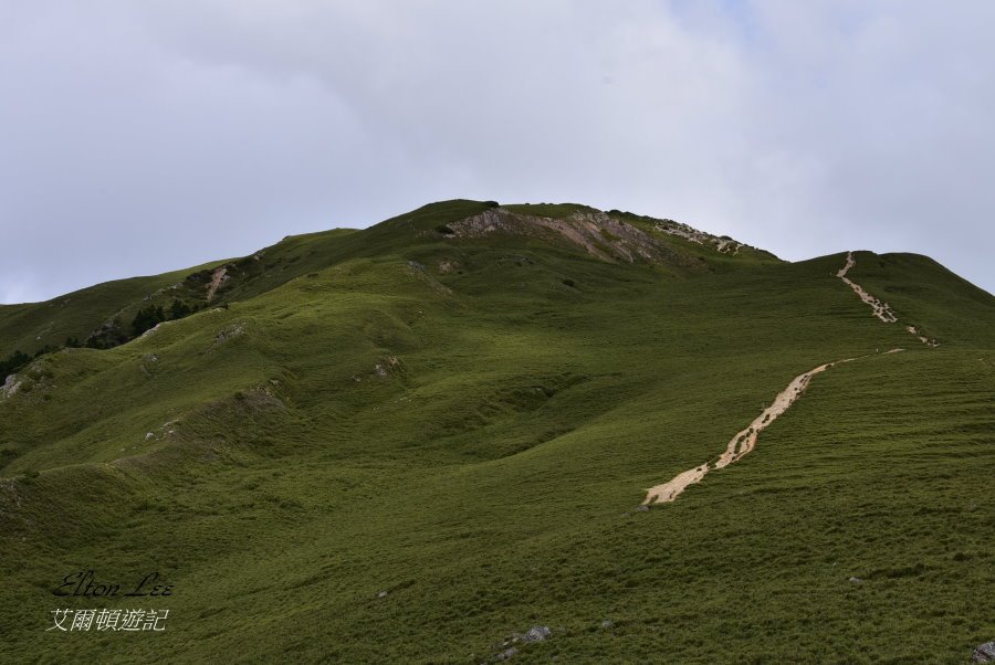 合歡北峰-176.JPG