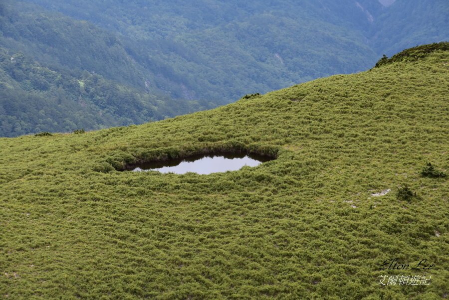 合歡北峰-189.JPG