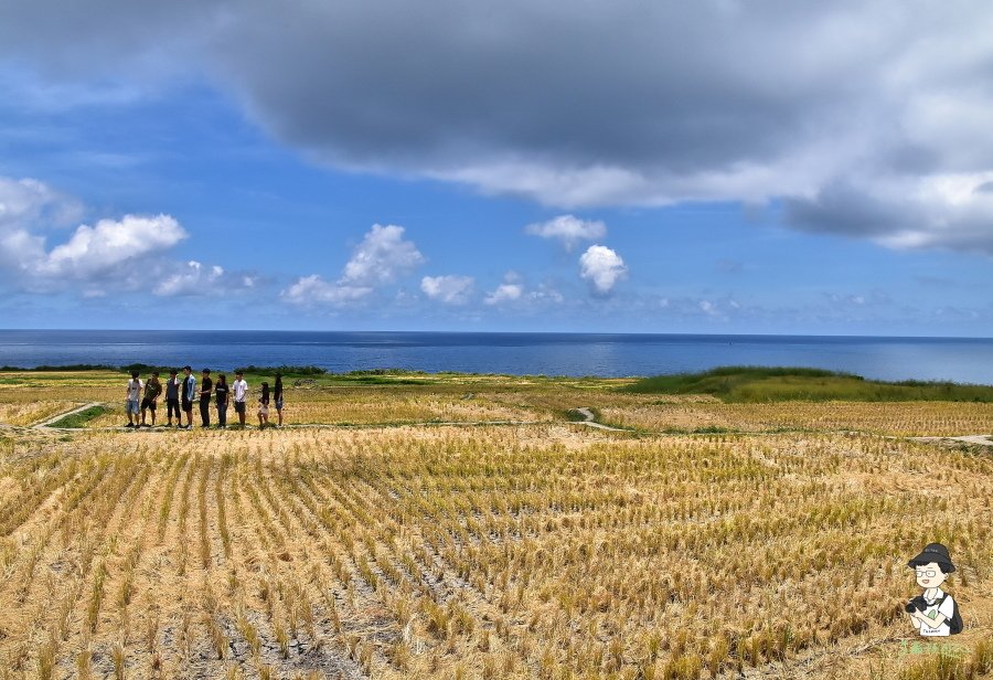 花蓮東海岸111.JPG