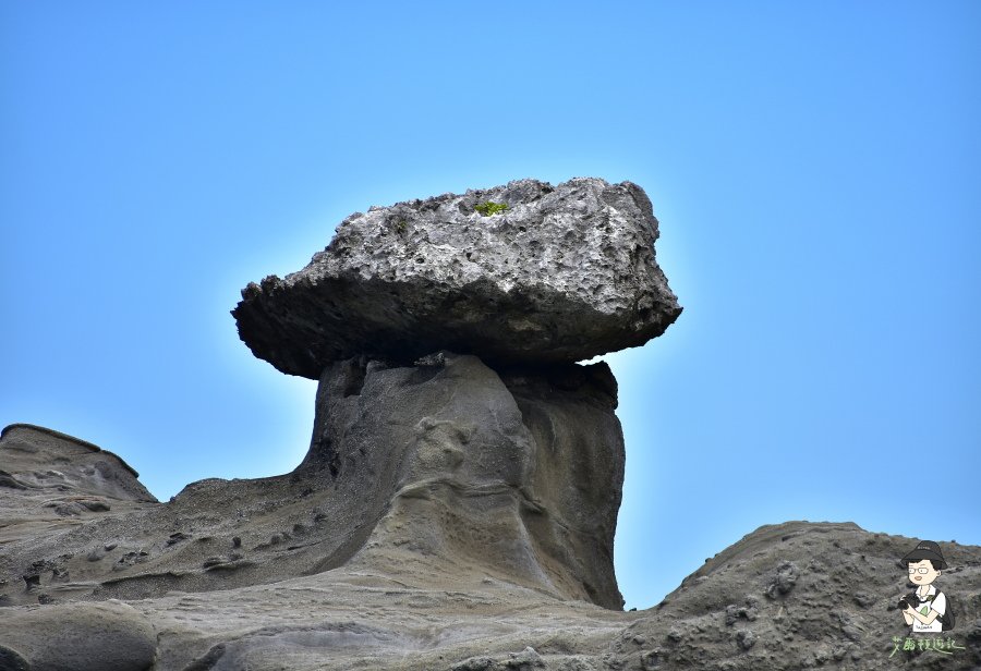 花蓮東海岸149.JPG