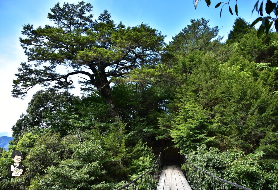 南華山123.JPG