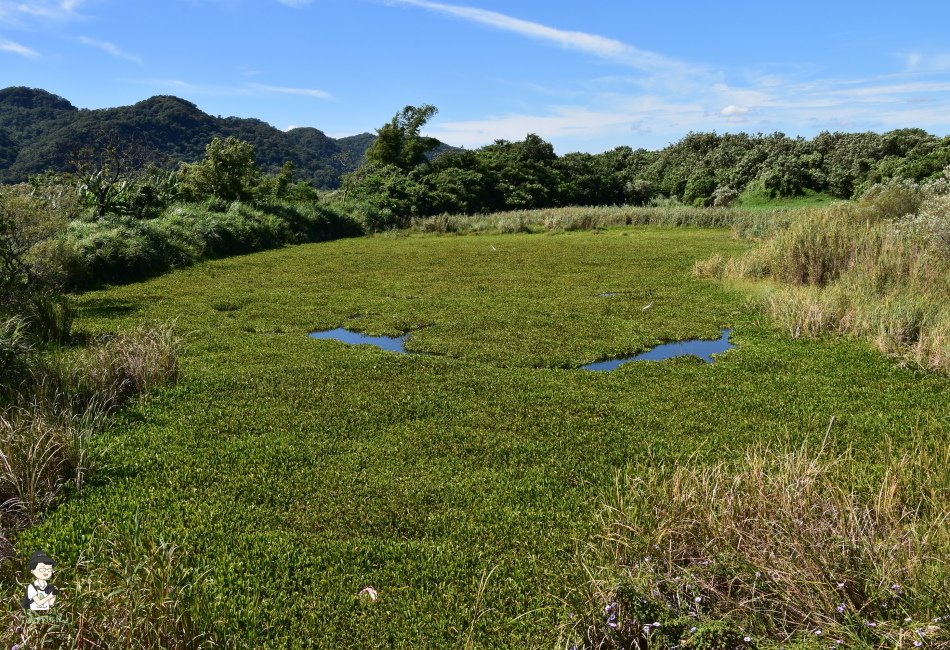 山水步道174.JPG