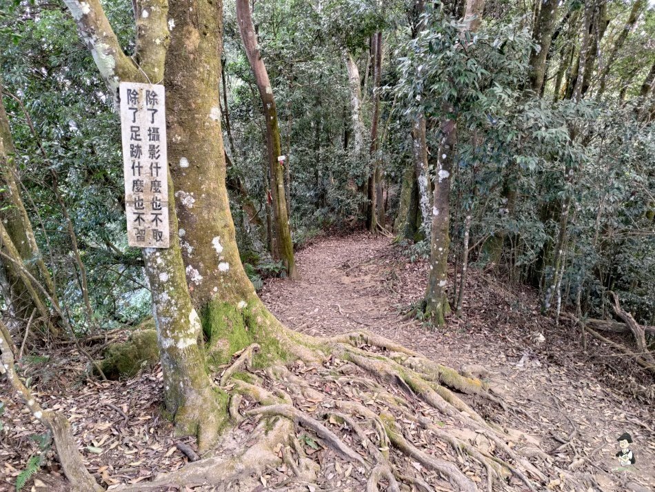 仙山139.jpg