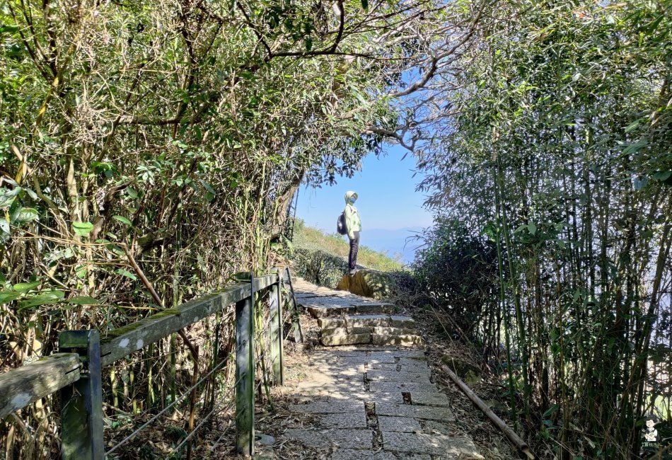 大尖山156.jpg