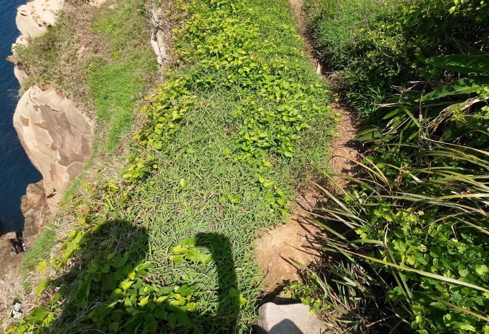 南雅海岸.南子吝山