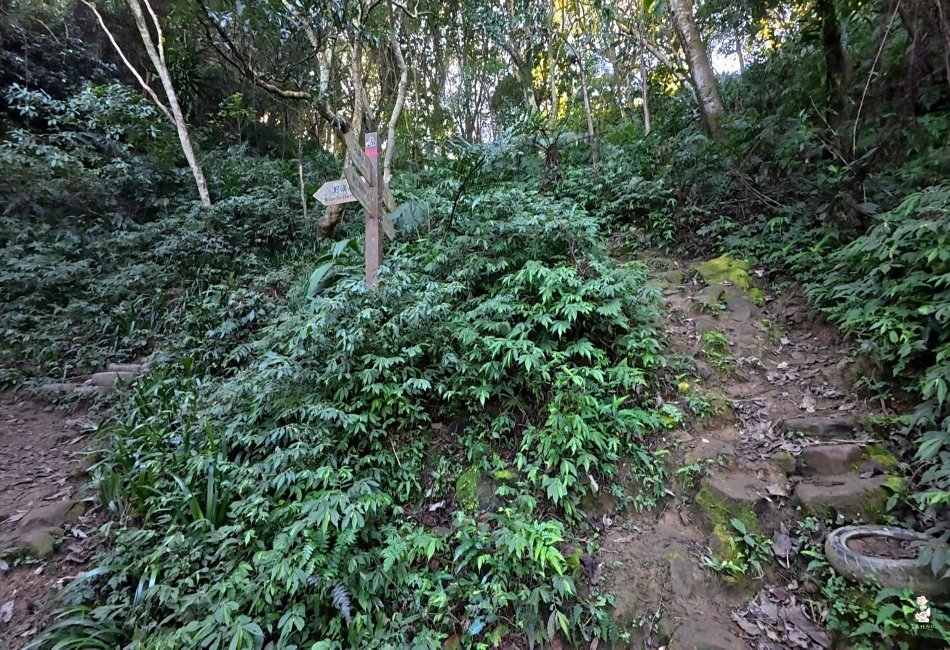 石門山 -37.jpg