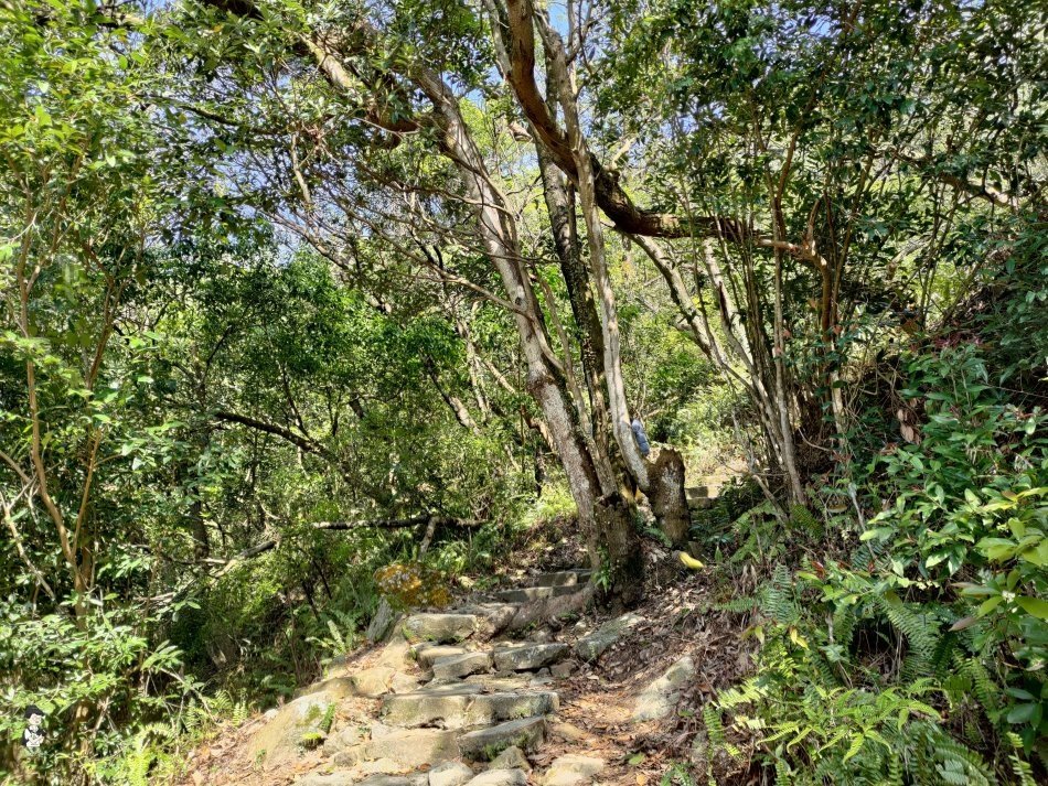 金面山 -10.jpg