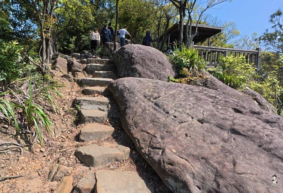 金面山 -34.jpg