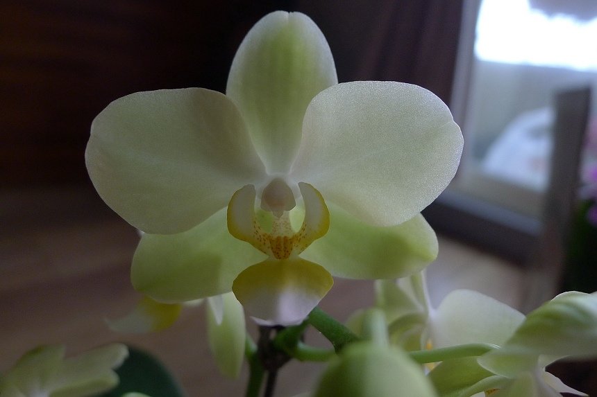 P1030510_nEO_IMG