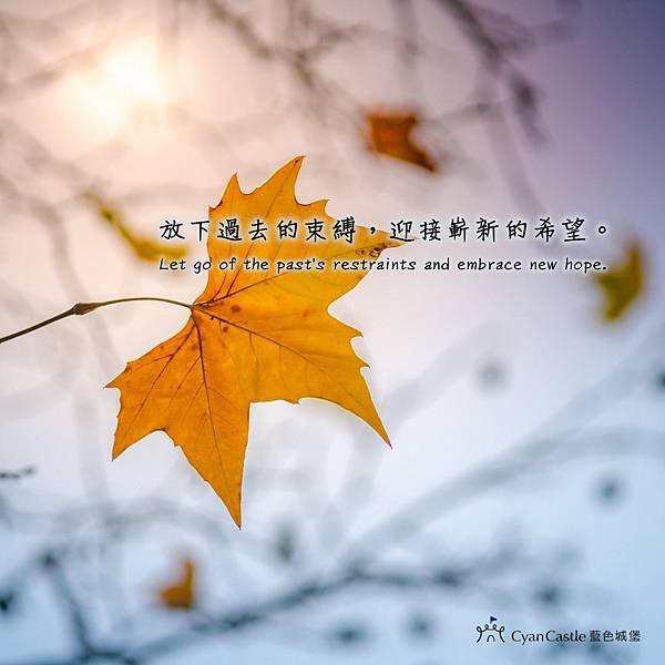 【夢境日記】放手前進
