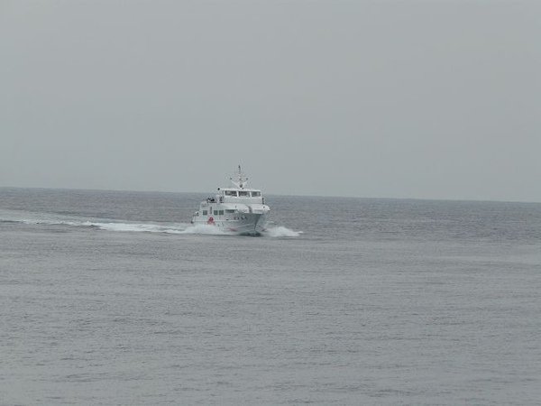 P1080570.jpg