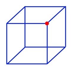 FG17-PtV01=Necker Cube1.jpg