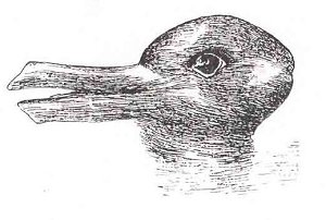 FG19-RV01=Duck-Rabbit_illusion.jpg