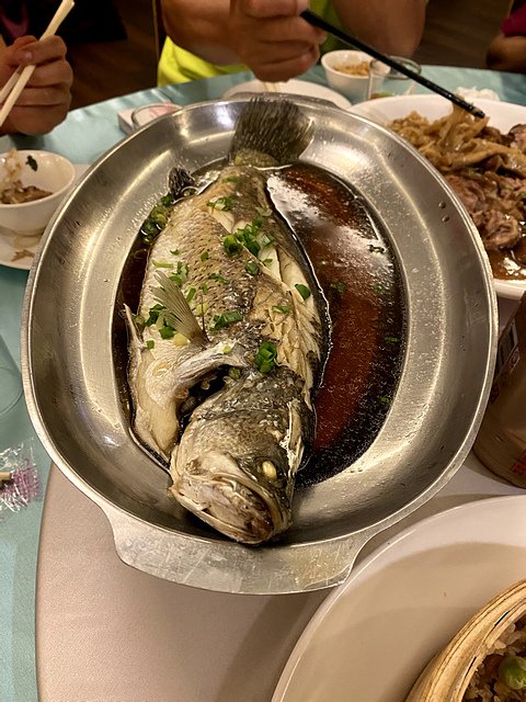 IMG_0670.jpg - 20210924扉扉出生