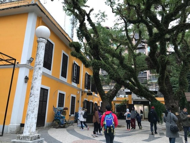 IMG_1143.JPG - 20180129深圳(3)