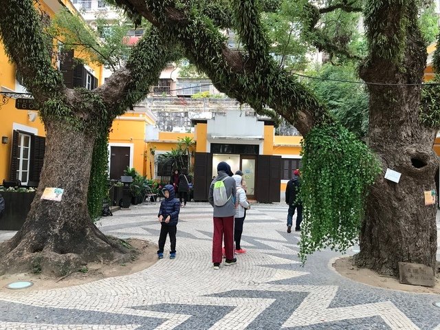 IMG_1145.JPG - 20180129深圳(3)
