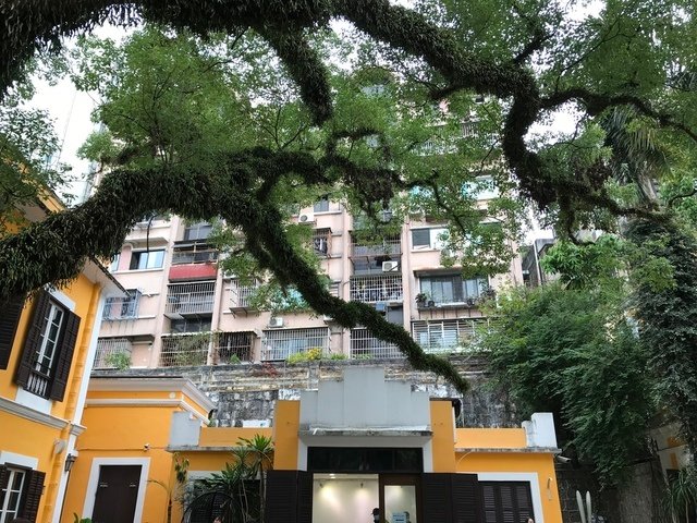 IMG_1156.JPG - 20180129深圳(3)