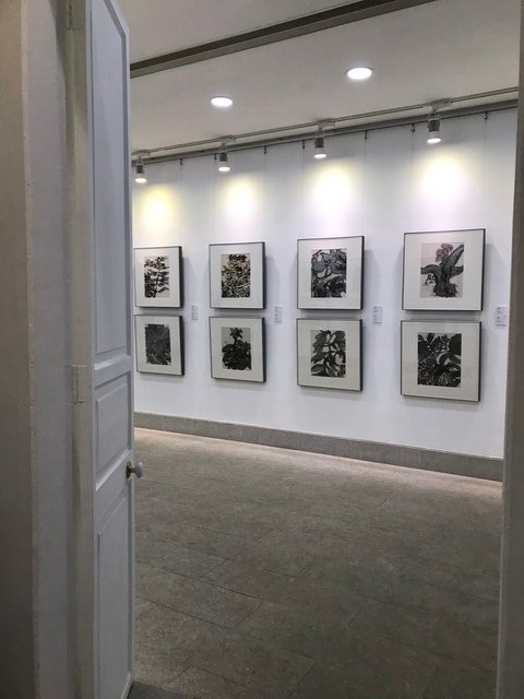 IMG_1159.JPG - 20180129深圳(3)