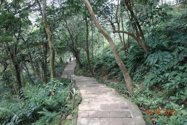 DSC08460.JPG - 20160403清明