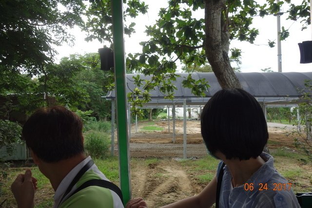 DSC07103.JPG - 20170625楠西教會