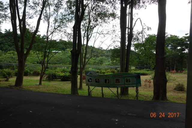 DSC07118.JPG - 20170625楠西教會