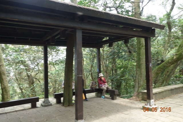 DSC08466.JPG - 20160403清明