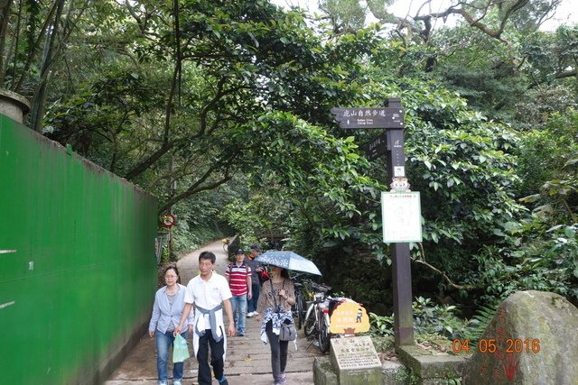 DSC08475.JPG - 20160403清明