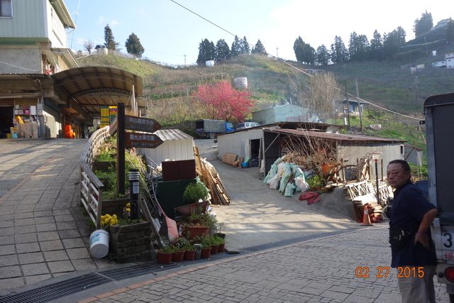 DSC09442.JPG - 20150227梨山