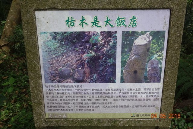 DSC08462.JPG - 20160403清明