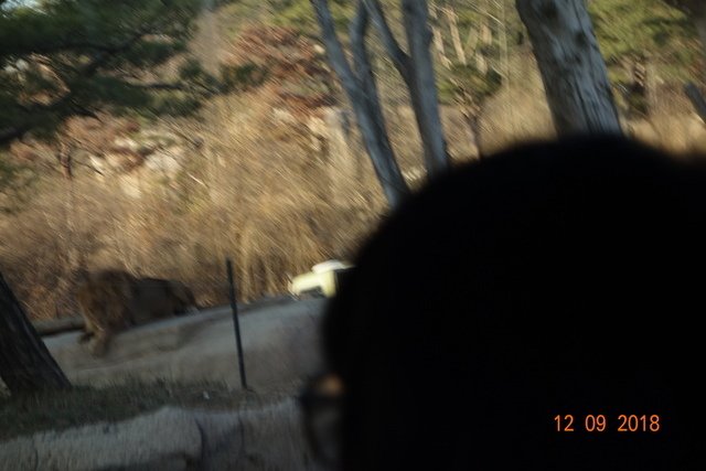 DSC03566.JPG - 20181207首爾(上)