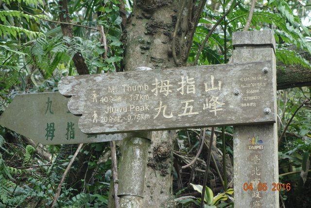DSC08446.JPG - 20160403清明