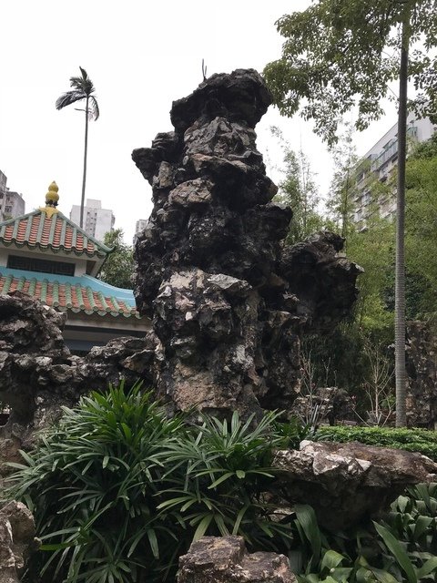 IMG_1042.JPG - 20180129深圳(3)