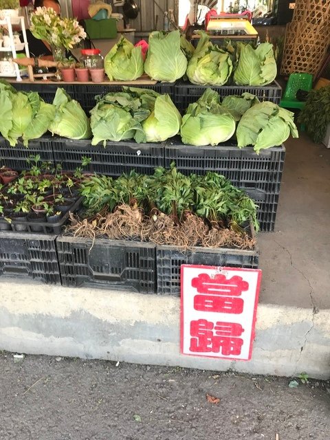 IMG_6654.JPG - 20180519合歡山