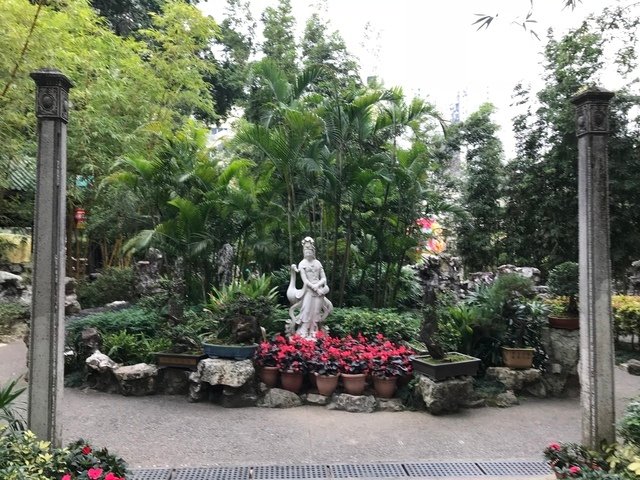 IMG_1031.JPG - 20180129深圳(3)