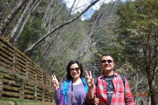 DSC09236.JPG - 20150227梨山