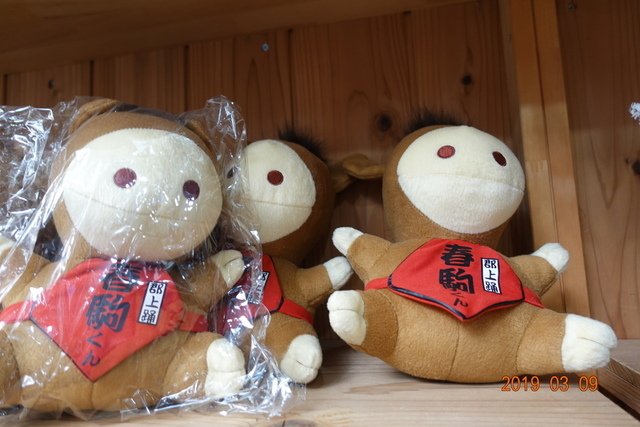 DSC00203.JPG - 20190309日本北陸2