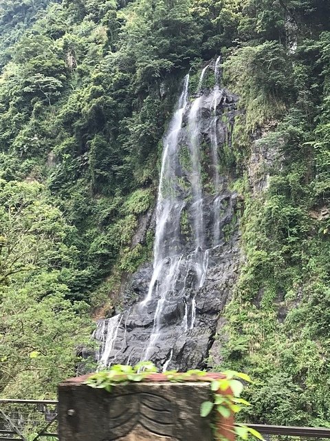 IMG_4453.JPG - 20190902黃金財