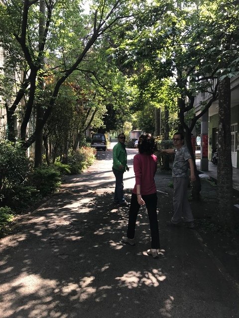 IMG_4669.JPG - 20180430牡丹花