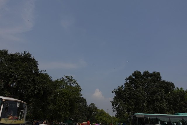 DSC08554.JPG - 20190903新德里