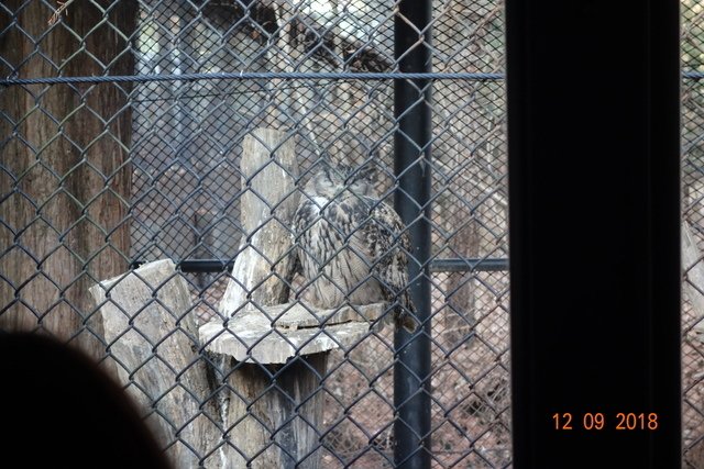 DSC03592.JPG - 20181207首爾(上)
