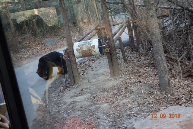 DSC03608.JPG - 20181207首爾(上)
