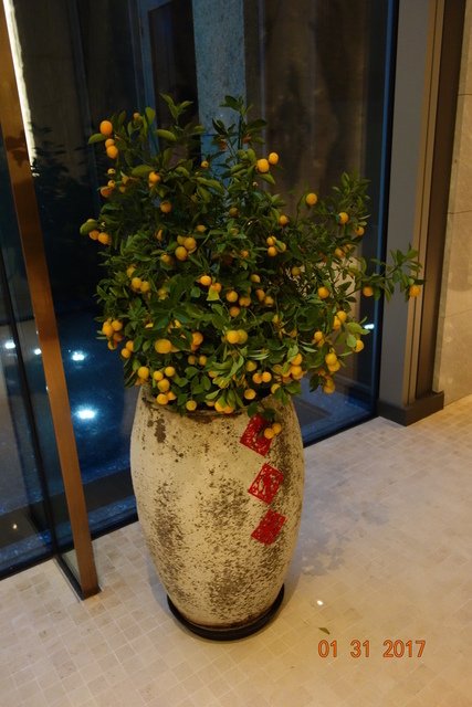 DSC04014.JPG - 20170203春節