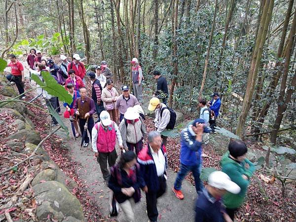 嘉義團友會-104年第一季-白河關仔嶺-一葉楠植物園聯誼活動照片-11