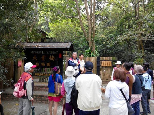 嘉義團友會-104年第一季-白河關仔嶺-一葉楠植物園聯誼活動照片-15