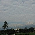 IMG_20131027_075417.jpg
