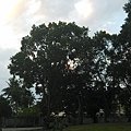IMG_20131027_061635.jpg