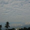 IMG_20131027_075422.jpg