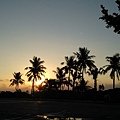IMG_20131030_061413.jpg